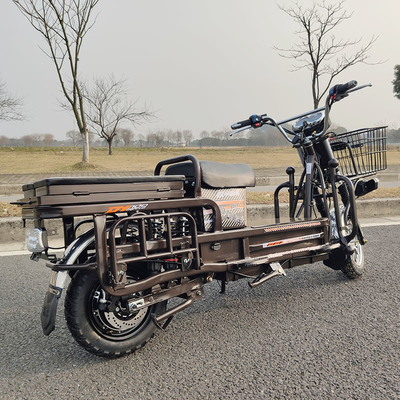 высокоскоростной электрический мотоцикл 1500W 2000W 3000W груза 70km/H