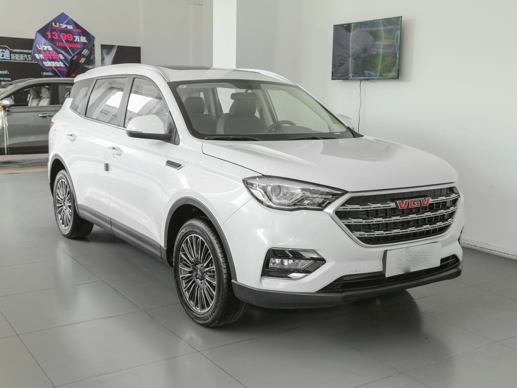 Автомобиль SINOTRUK VGV топливного бака 55L белый 7 Seater использовал ручное SUV 175 Km/H
